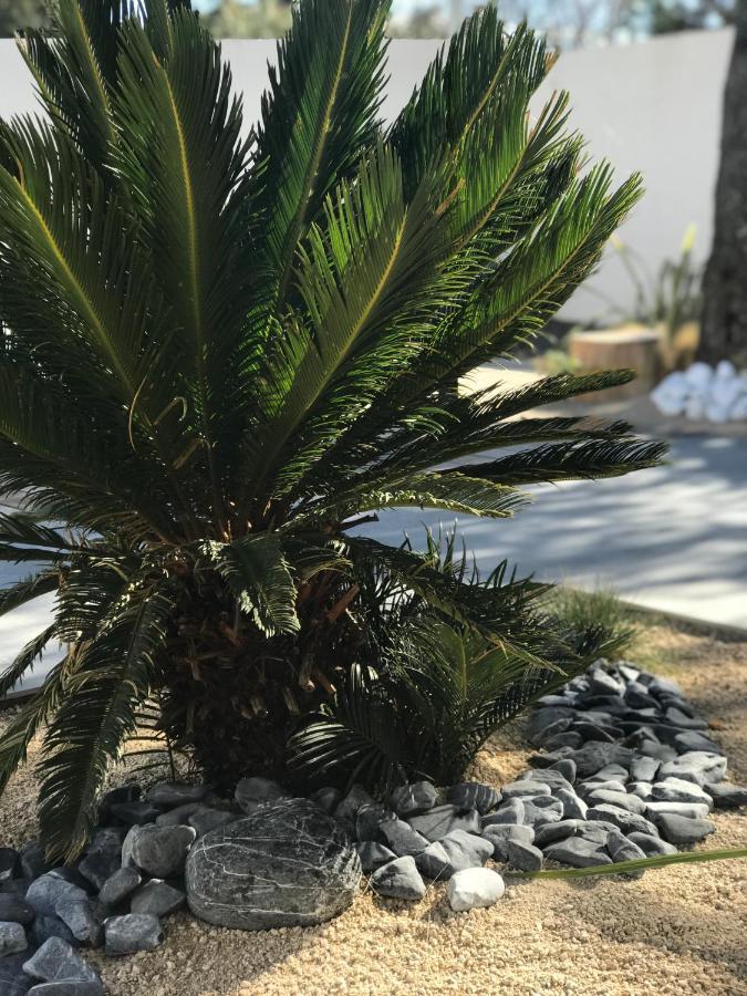 L'Oasis Vendargues Bed & Breakfast Luaran gambar